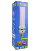 Ampoule de 125 watts