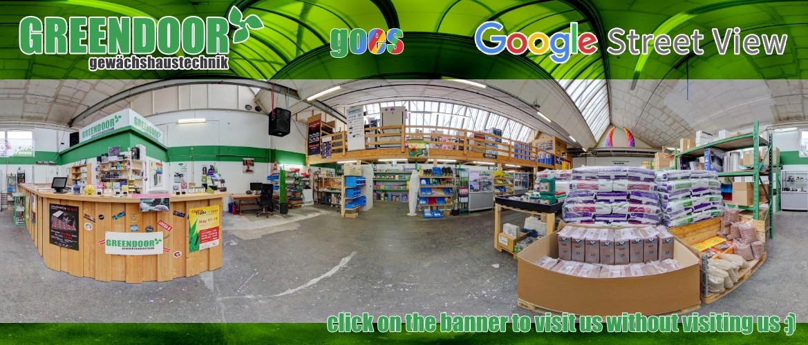 Google StreetView