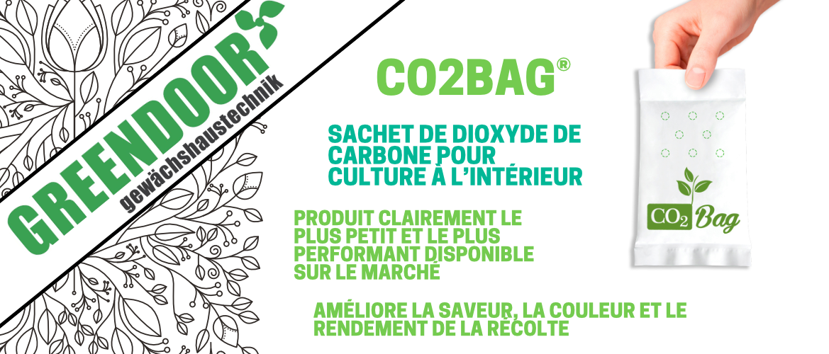 CO2 Bags