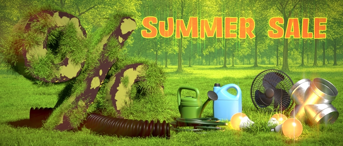 Summer Sale 2025